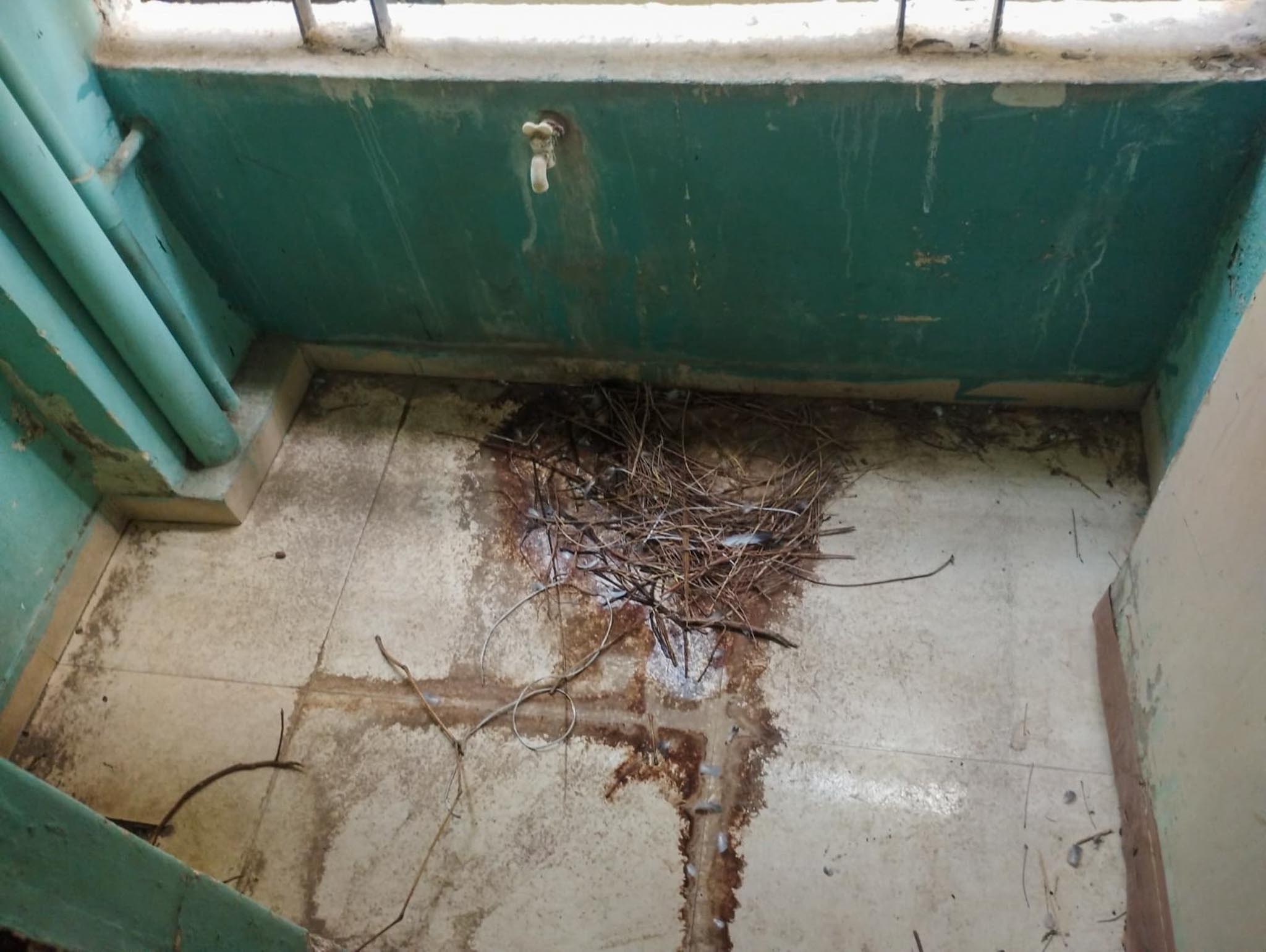 65 square yard Flat for sale in Ahmedabad — photo 15