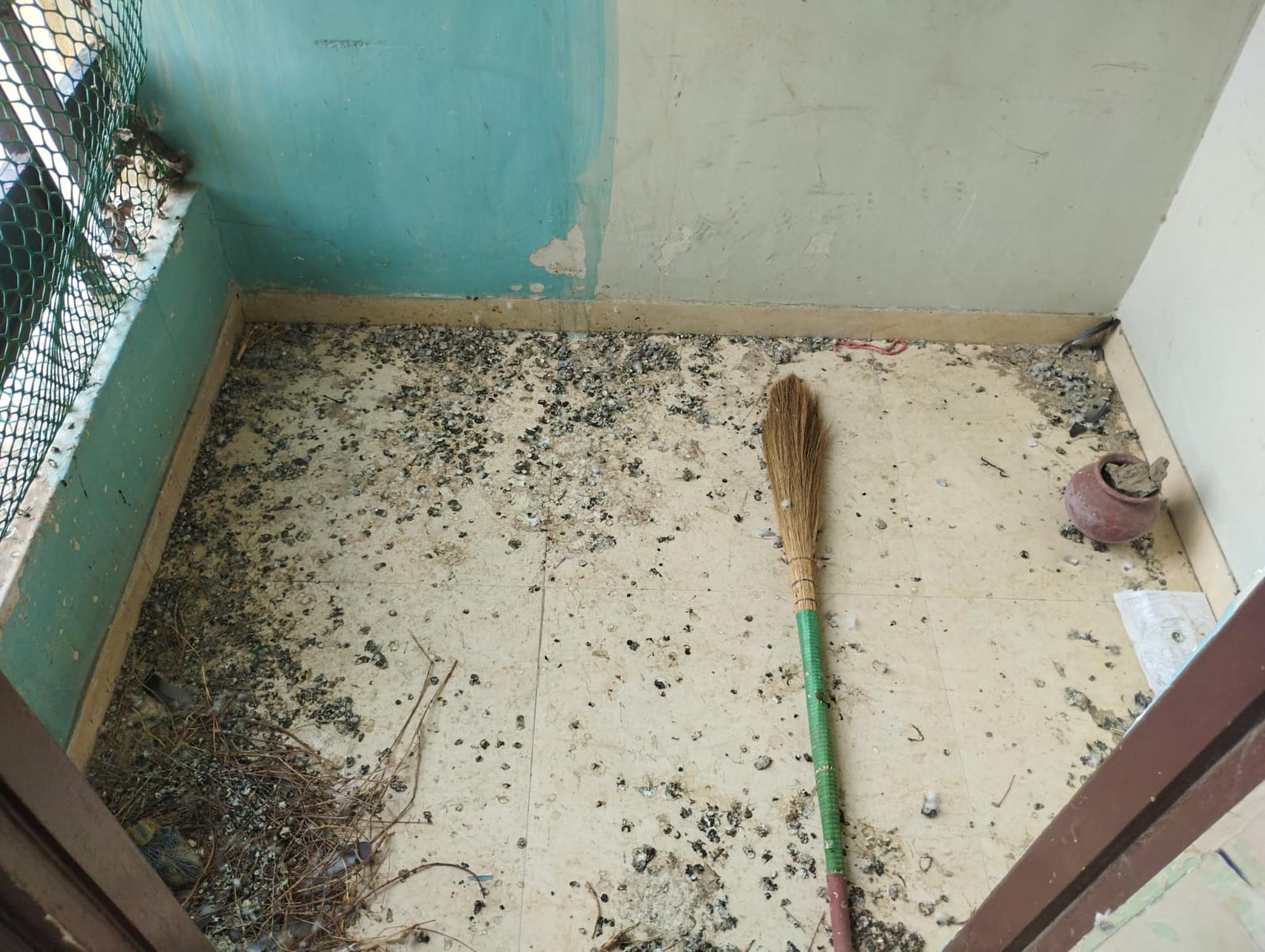65 square yard Flat for sale in Ahmedabad — photo 18