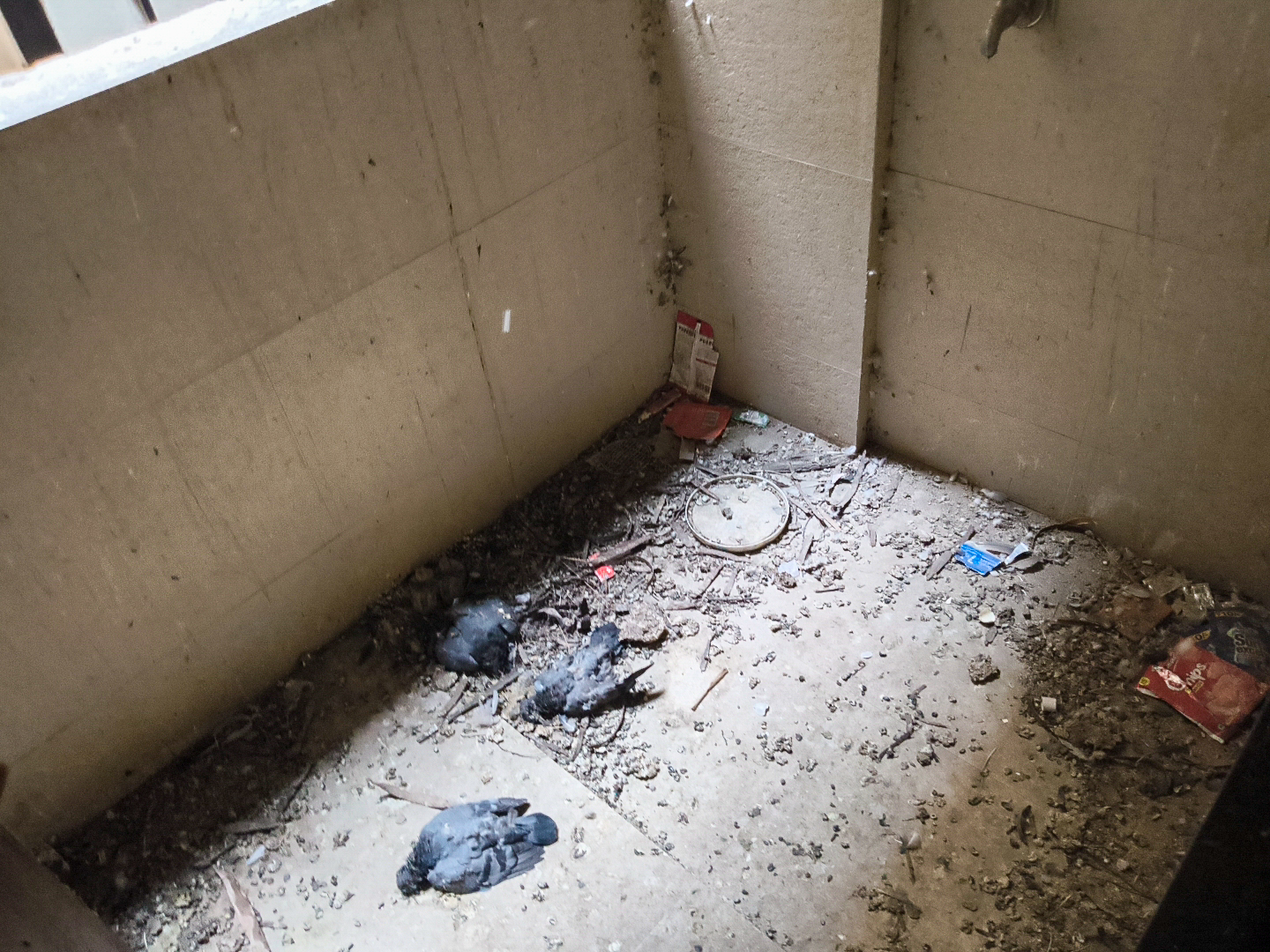 Flat for sale in Pune — photo 8