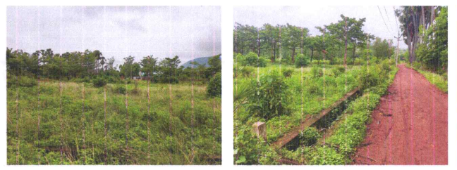 222 square yard Plot for sale in Jarjapupeta — photo 1