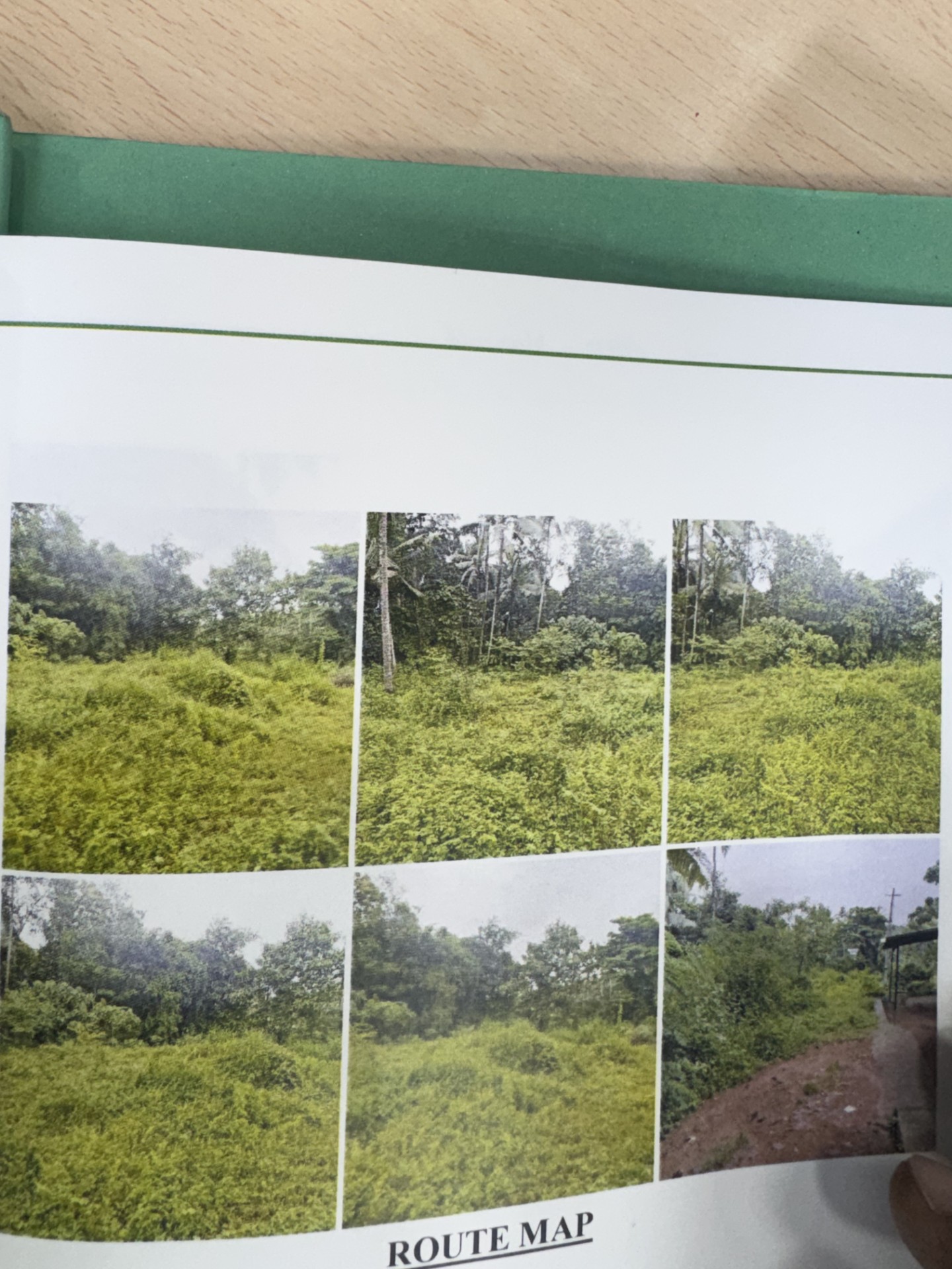 125 square feet Plot for sale in Akathiyoor — photo 1