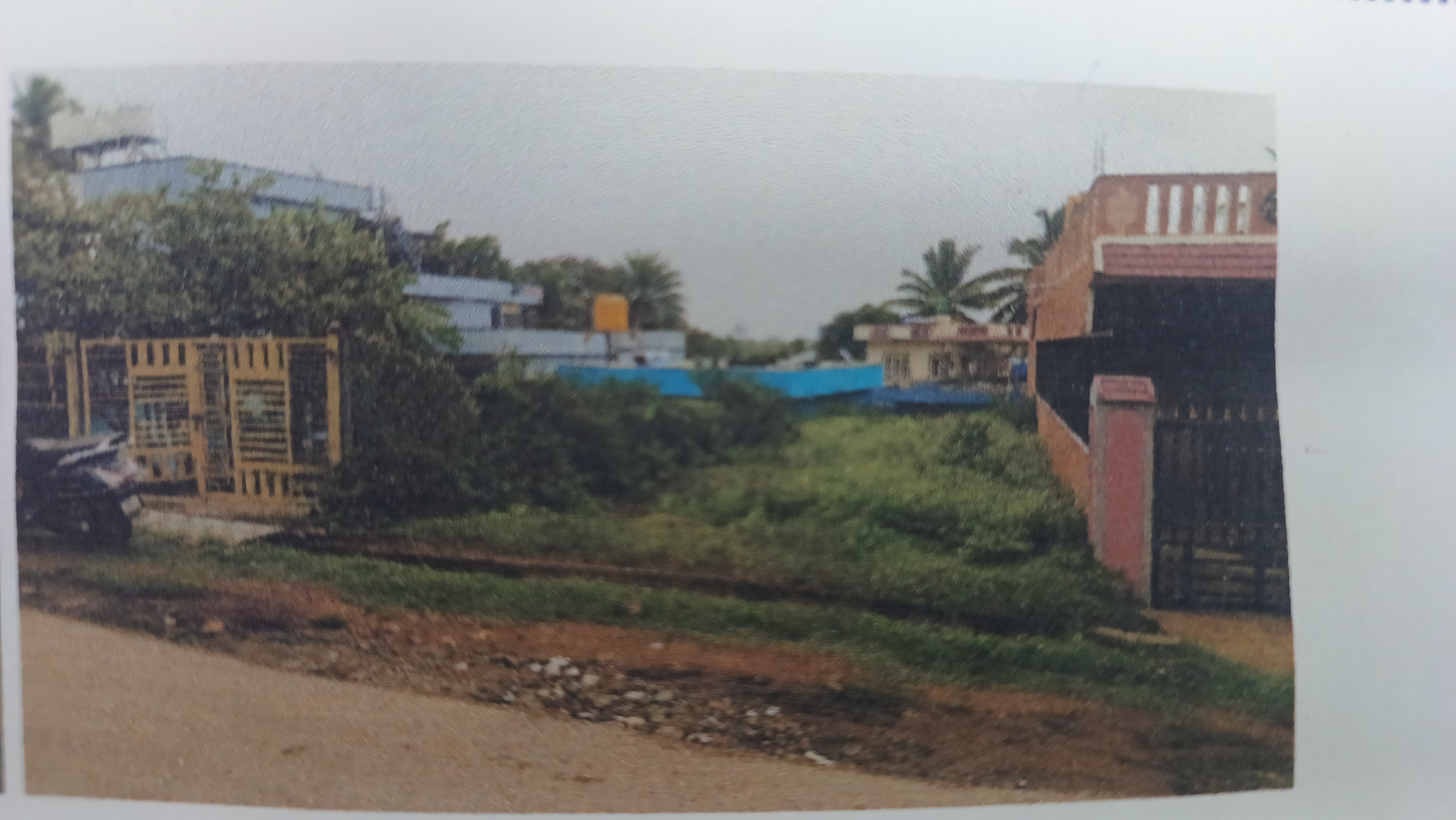 1452 square feet Plot for sale in Rural Kushalanagara — photo 2