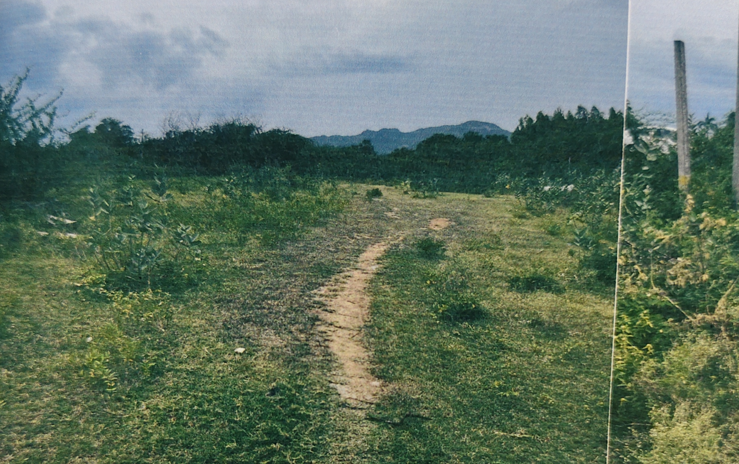 605 square yard Plot for sale in Edlapadu — photo 1