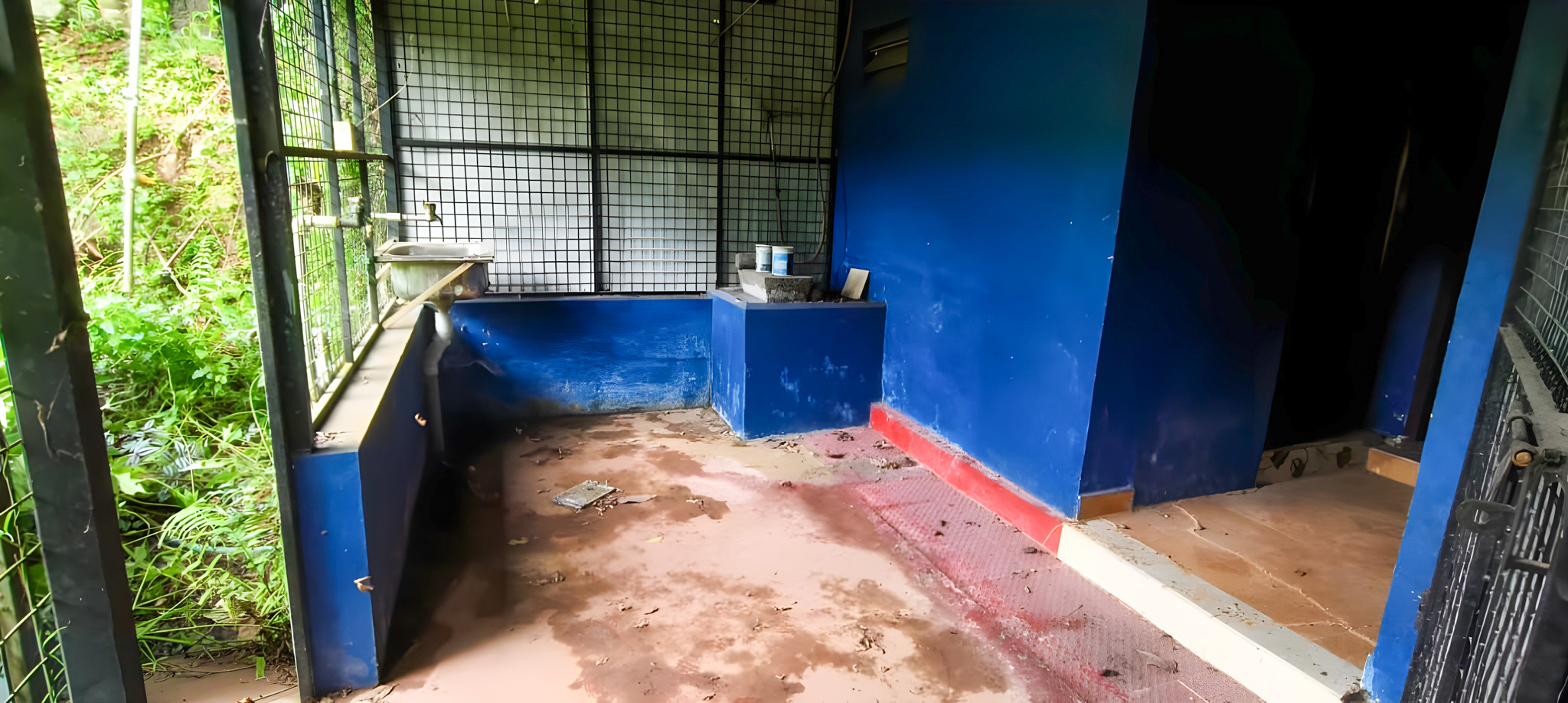 2 BHK Individual House for sale in Individual House, Kanjiramattom Amballoor — photo 15