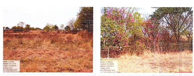 Plot for sale in DIGGEWADI Akkalkot — photo 3