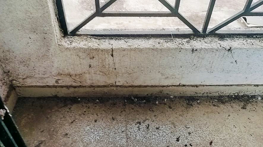 705 square feet Flat for sale in Neral Matheran — photo 7