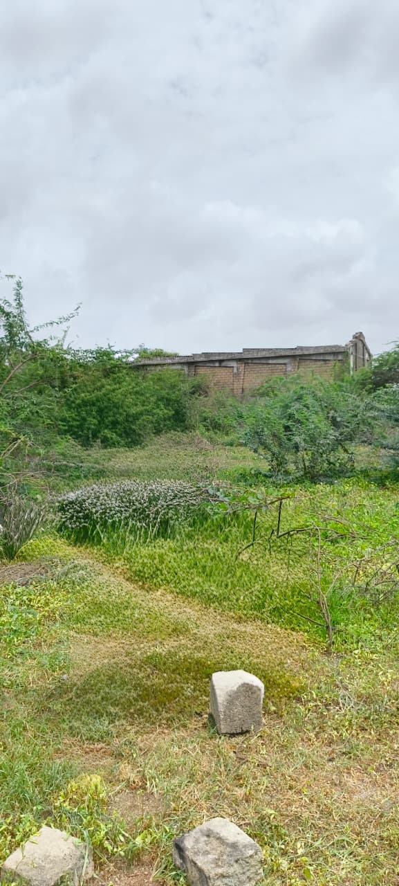 600 square yard Plot for sale in Pajod Bantwa — photo 2