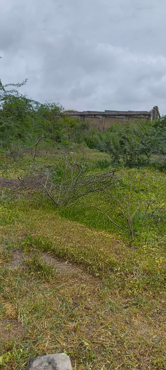 600 square yard Plot for sale in Pajod Bantwa — photo 3