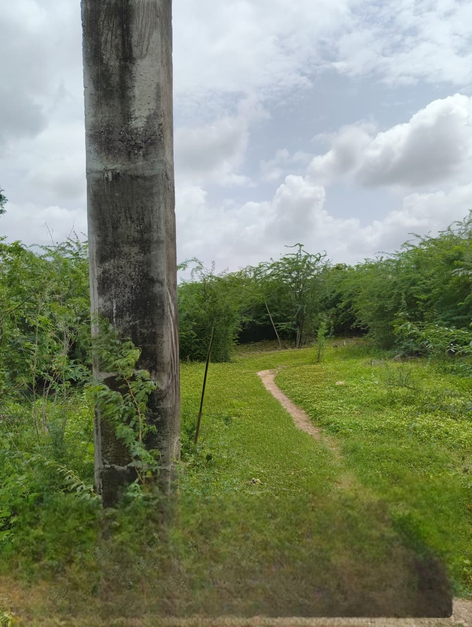 2887 square meter Industrial Plot with Factory Building for sale in Pajod Bantwa — photo 3