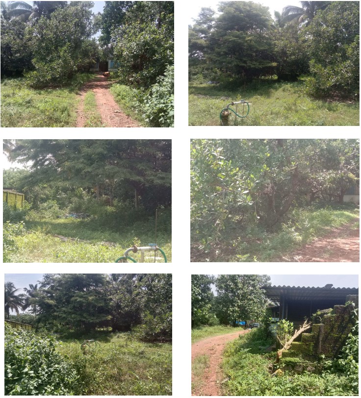 Industrial Plot for sale in Alevoor — photo 1