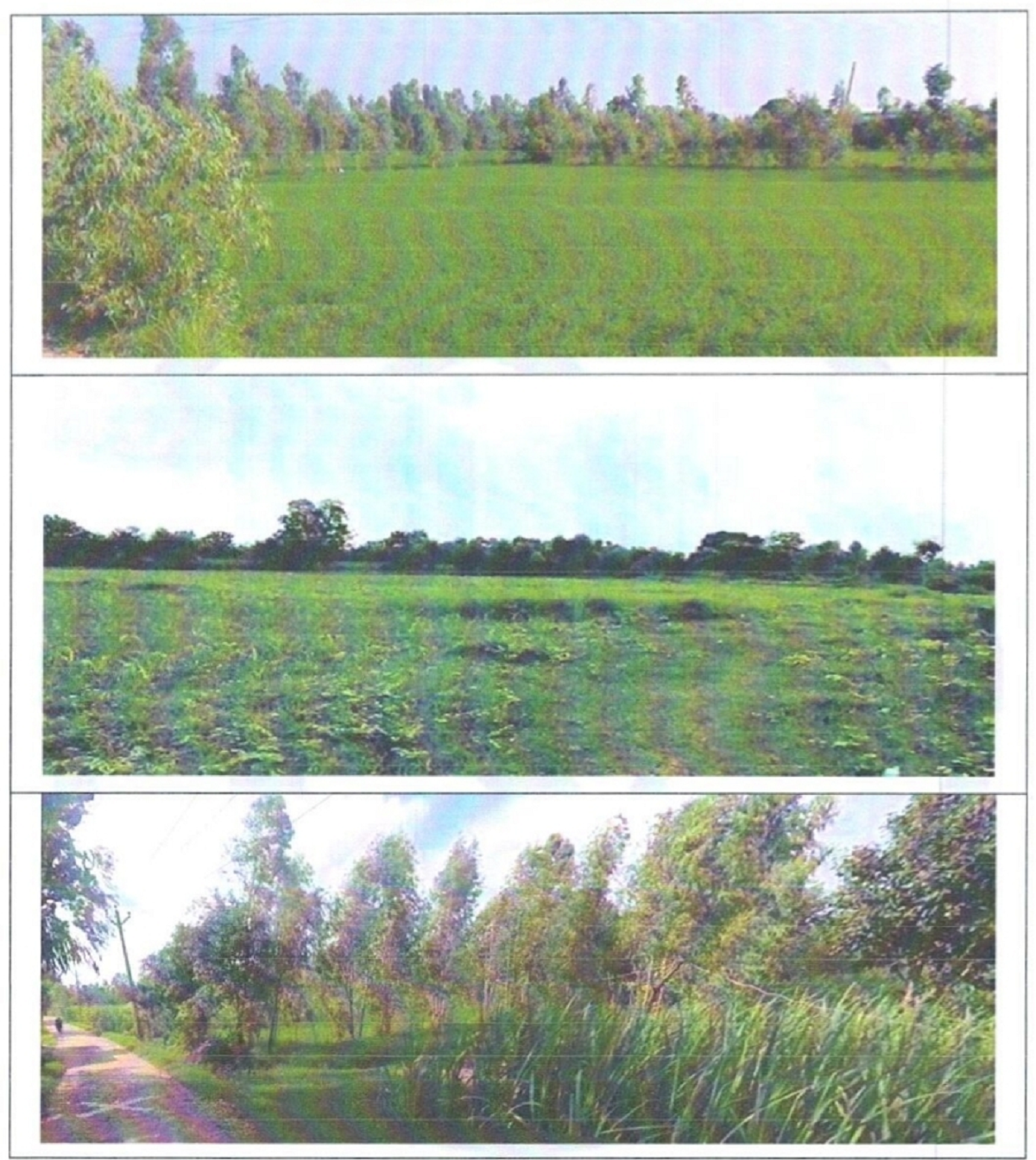 Plot for sale in Jaspur — photo 1