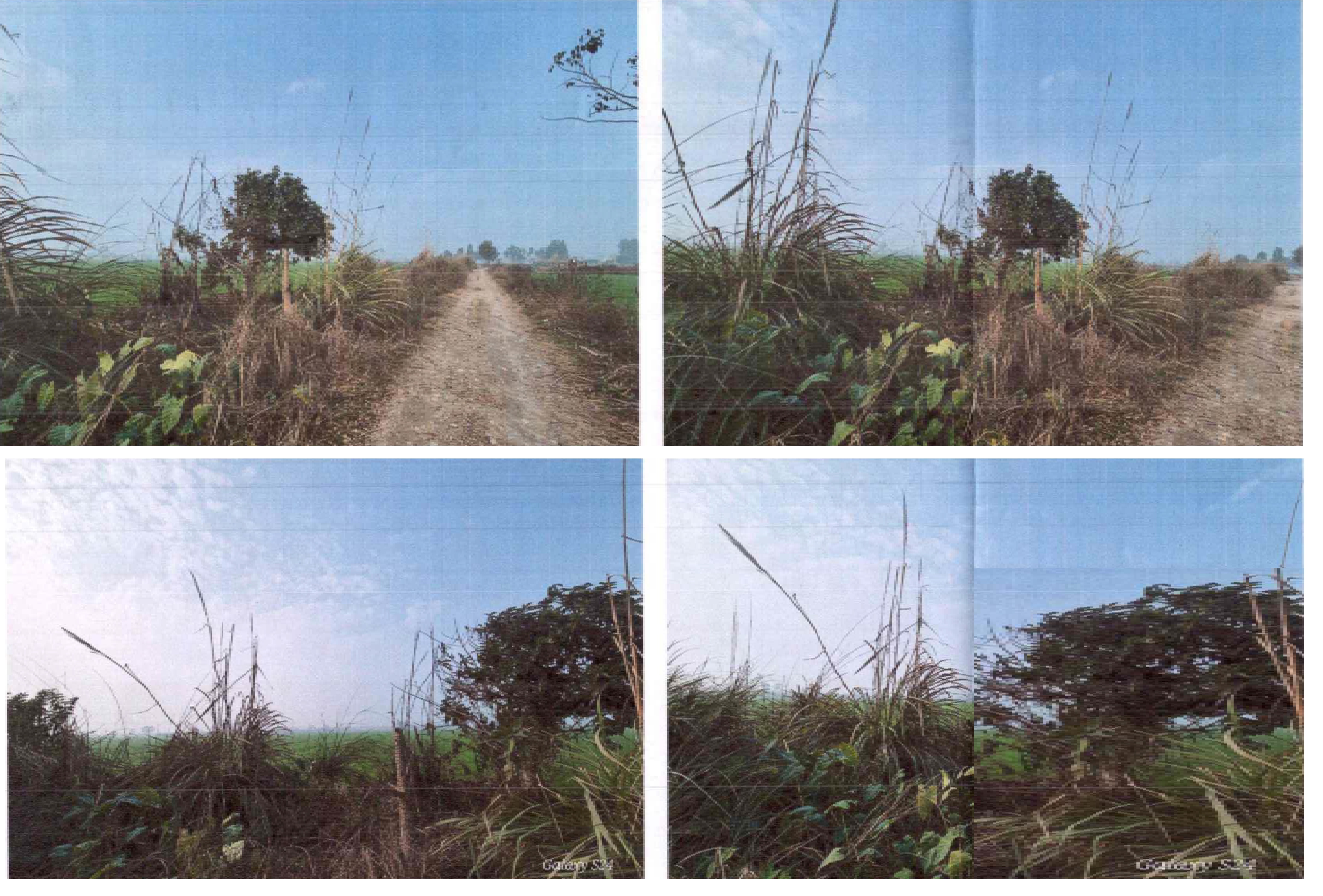 Plot for sale in Bazpur — photo 1