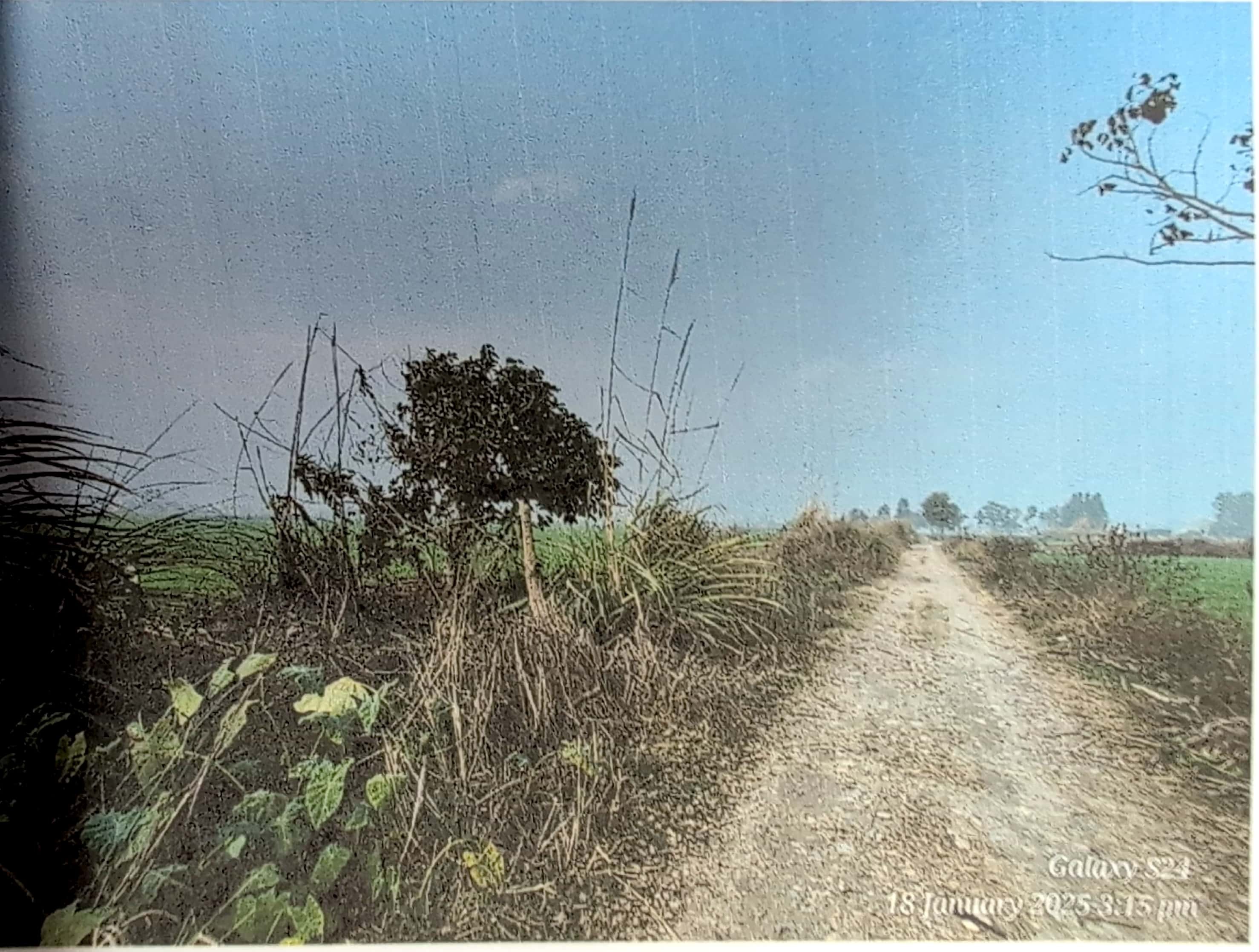 Plot for sale in Bazpur — photo 3