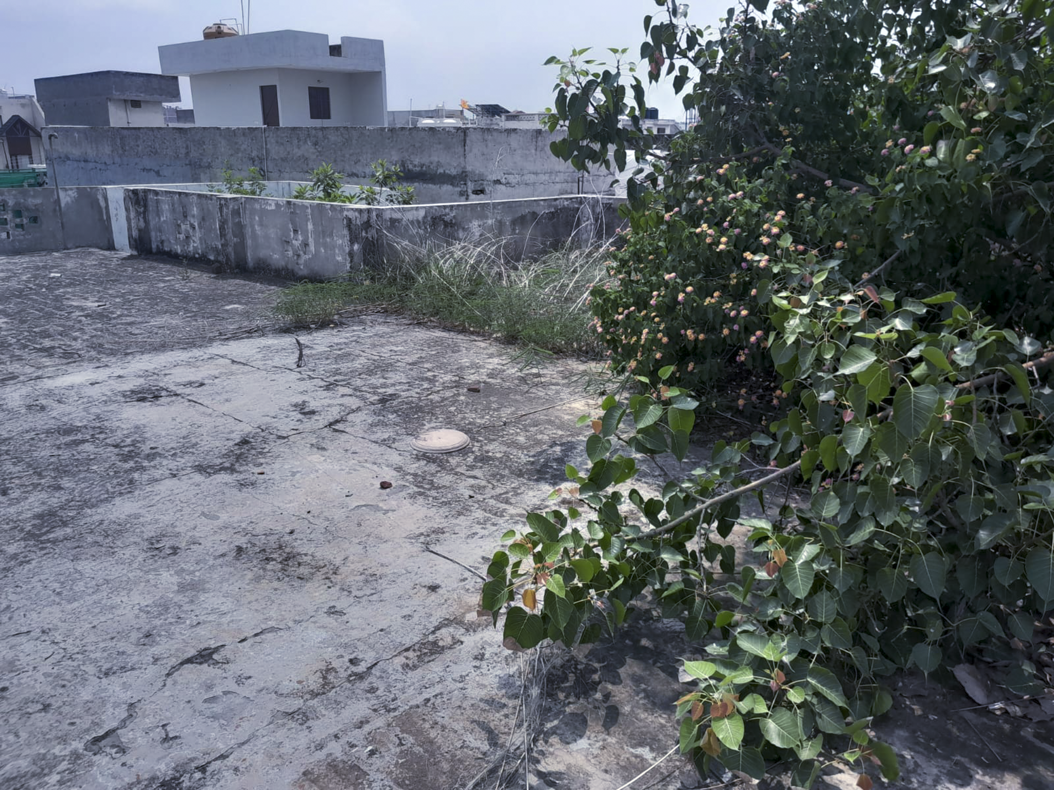 3 BHK Individual House for sale in Joshi Nagar, Ludhiana Ludhiana — photo 14