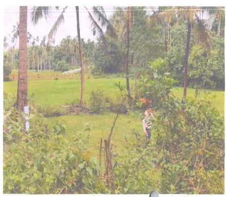 Plot for sale in Karkala — photo 1