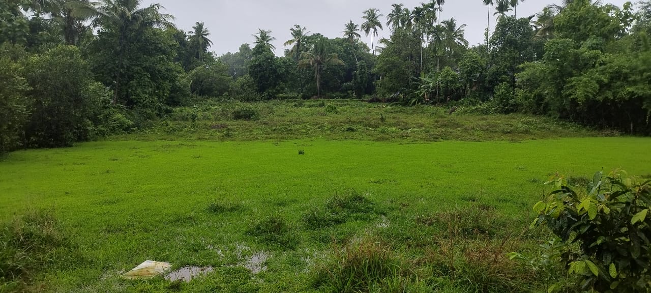 Plot for sale in MIYAR VILLAGE Karkal — photo 1