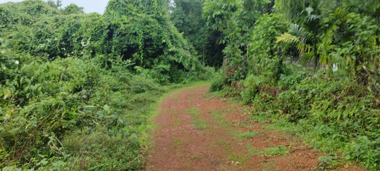 Plot for sale in MIYAR VILLAGE Karkal — photo 2