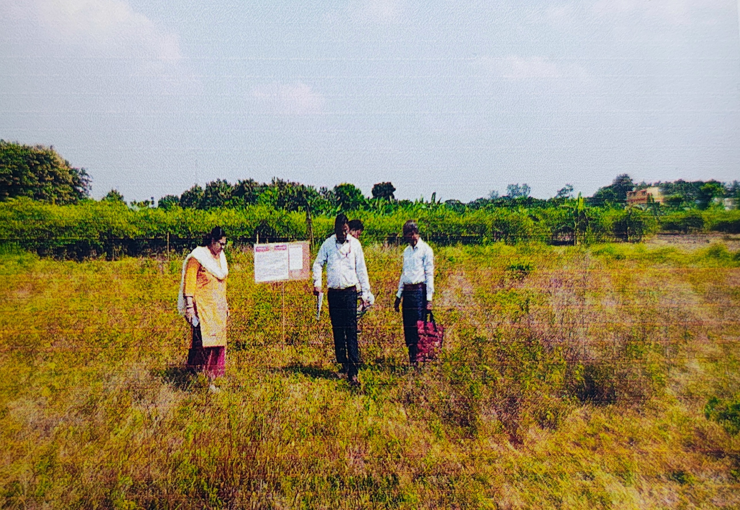 Plot for sale in Dhubulia Bethuadahari — photo 1