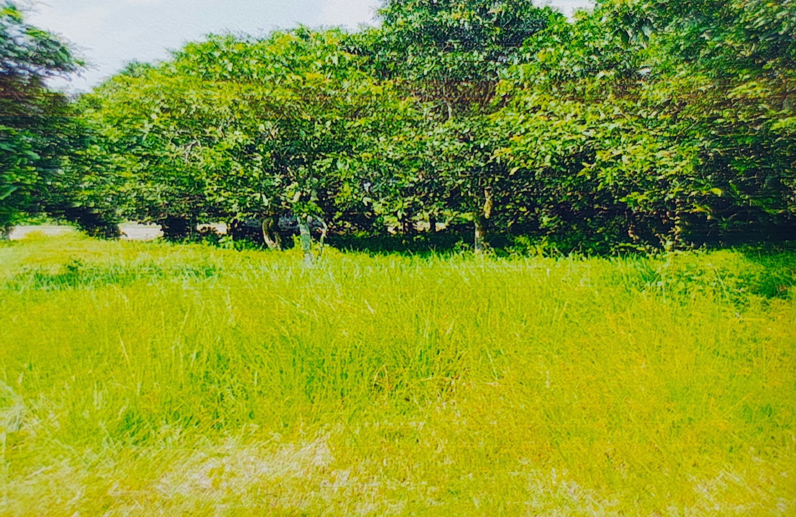 Plot for sale in Dhubulia Bethuadahari — photo 2
