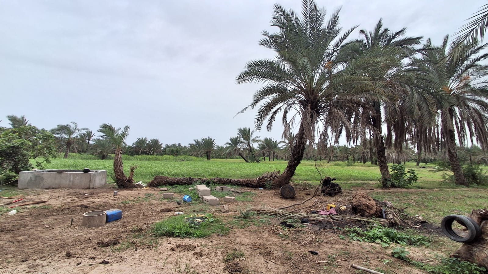 Agriculture Land for sale in Mundra Mundra — photo 4