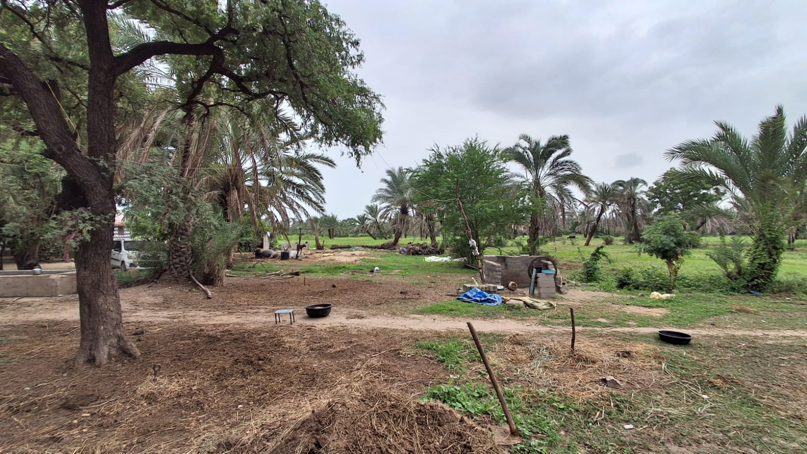 Agriculture Land for sale in Mundra Mundra — photo 6