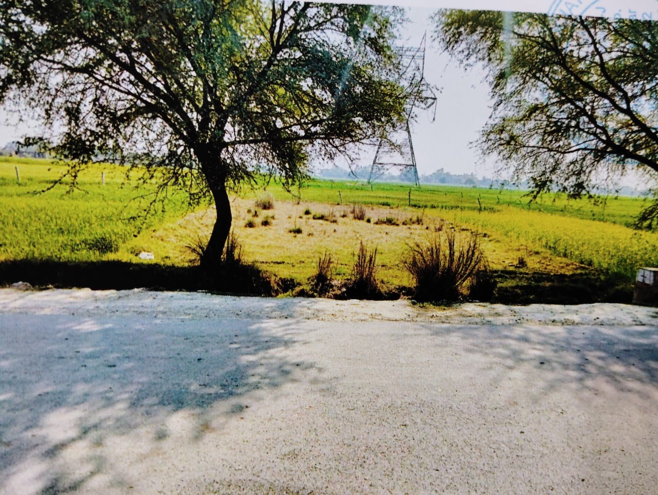 Plot for sale in SARKANDI BINDKI FATEHPUR Bindki — photo 2