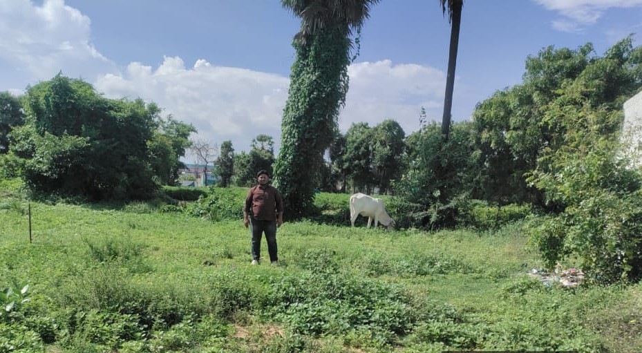 Plot for sale in Chirala