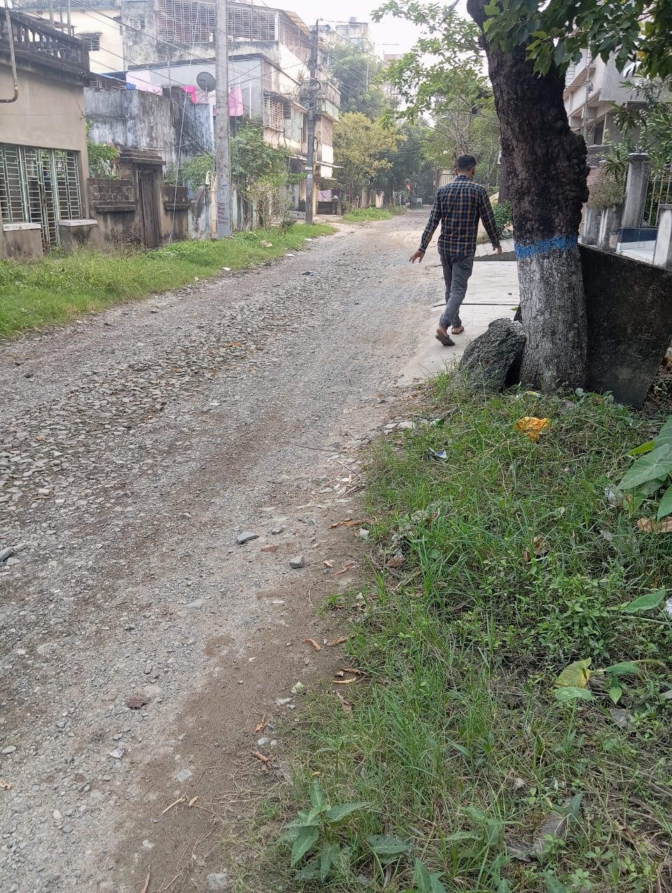 Individual House for sale in Muragachha — photo 7