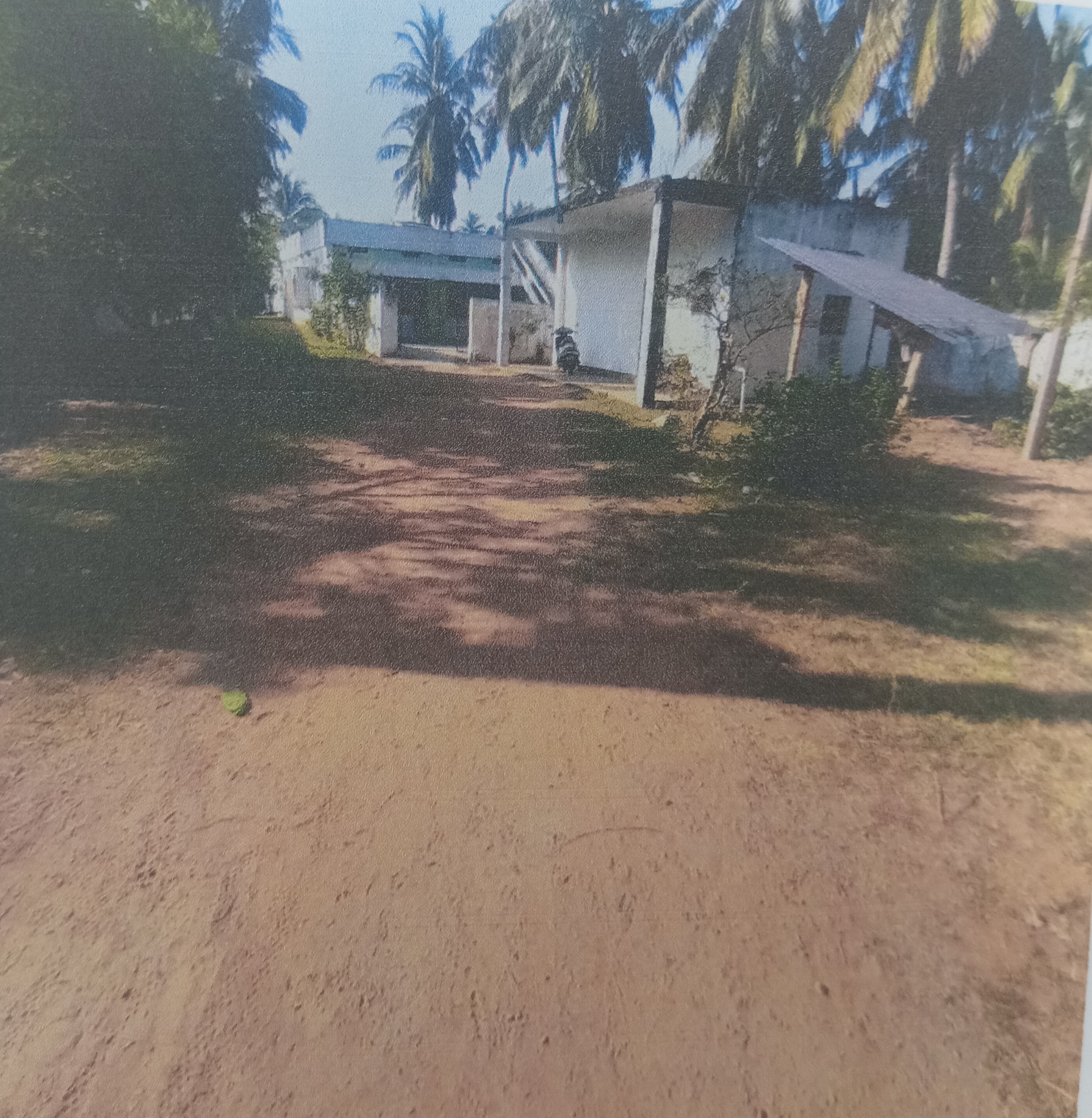 Individual House for sale in Kasibugga Srikakulam Srikakulam — photo 1