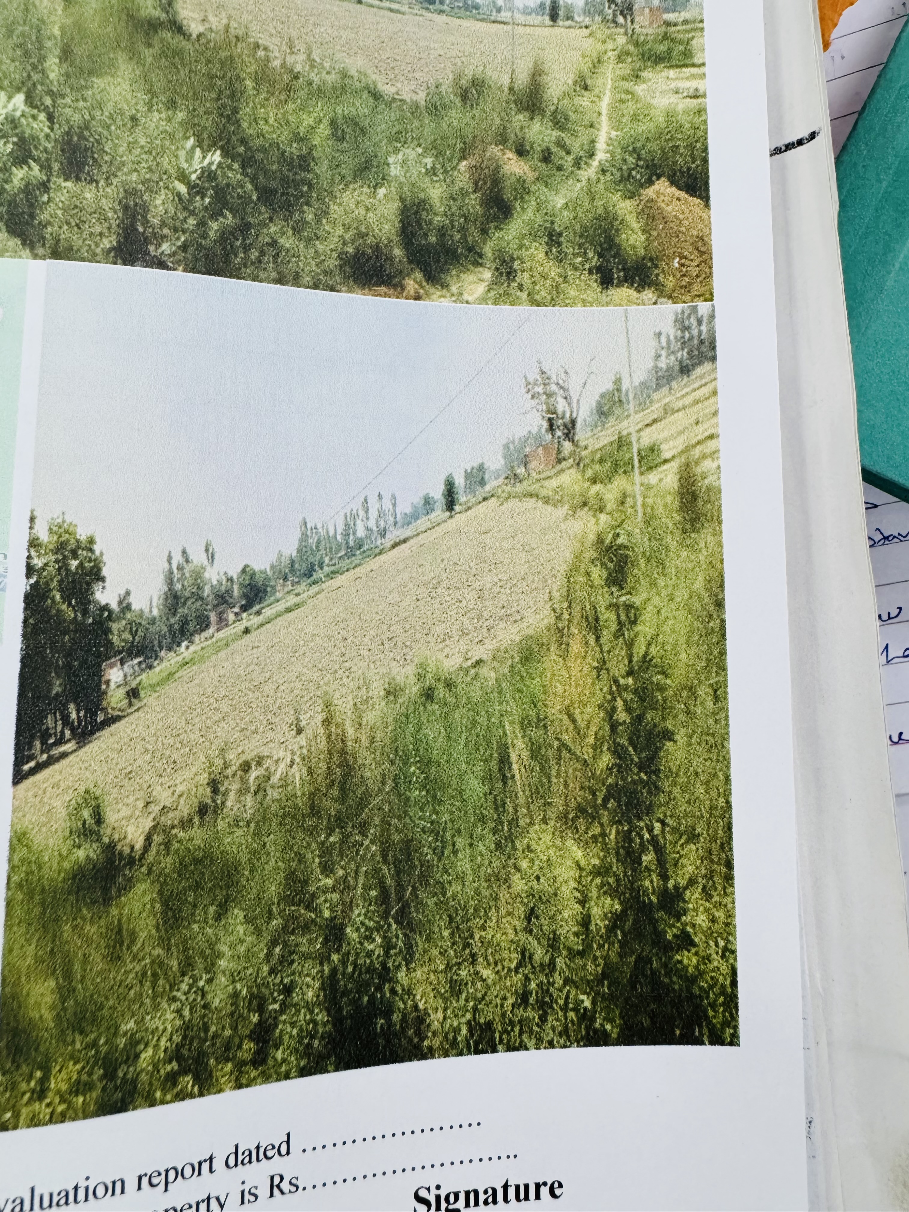 Plot for sale in Pargana – Bidahar, Tehsil – Tanda Tanda — photo 3