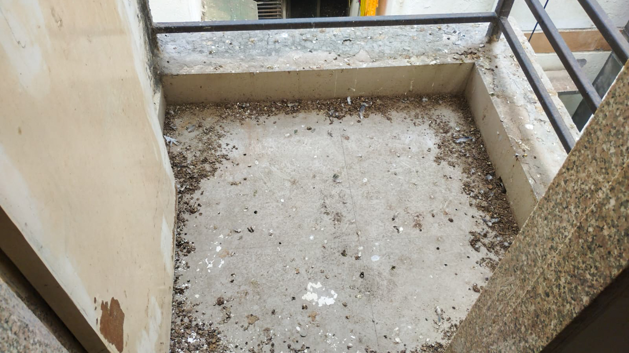 2 BHK Flat for sale in MANGAL MURTY, VATVA Ahmedabad — photo 11