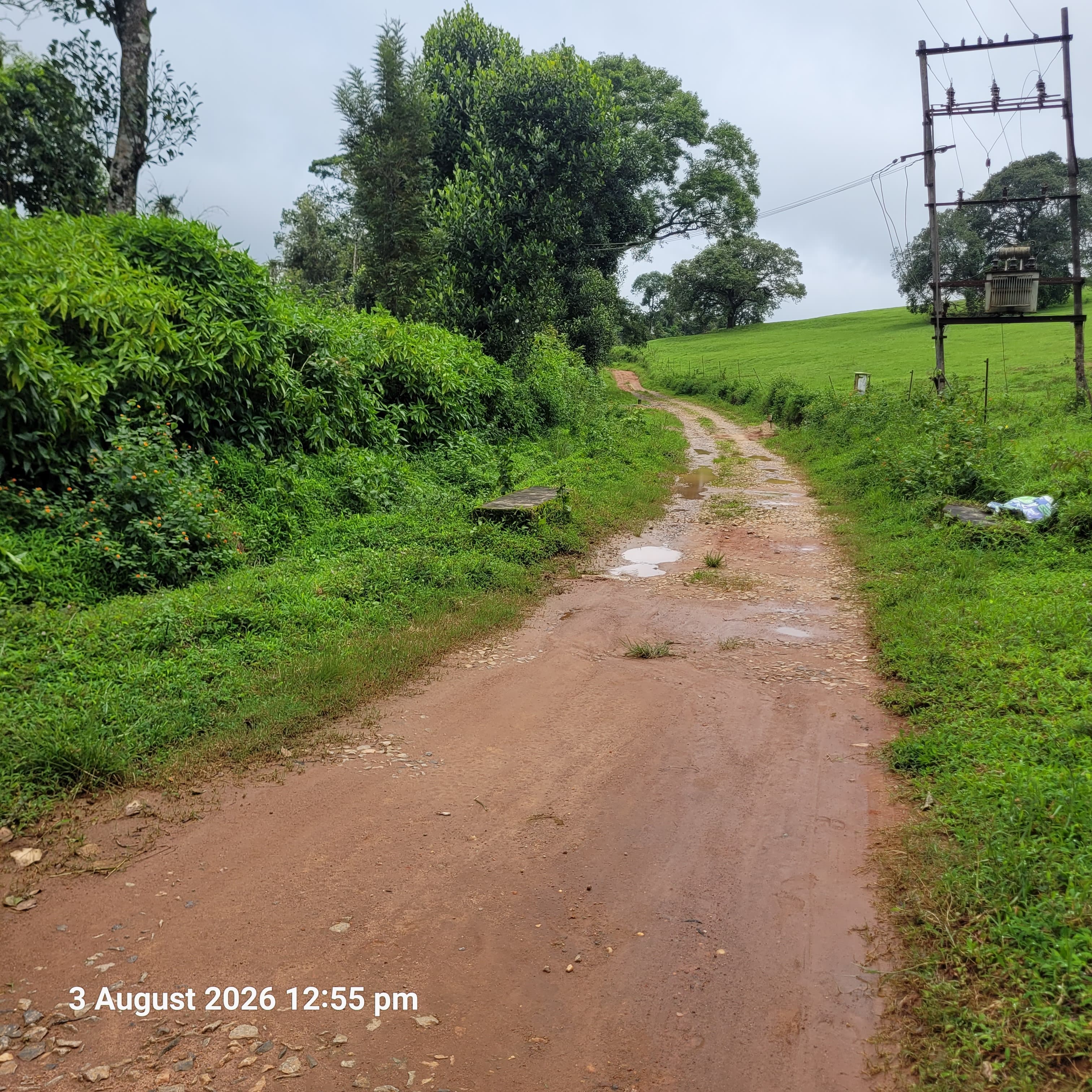 Agriculture Land for sale in KURUBATTUR VILLAGE Sakleshpur — photo 1