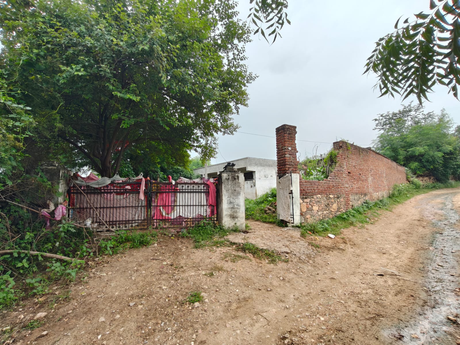 26910 square feet Individual House for sale in Bemla Bargaon Rural — photo 2