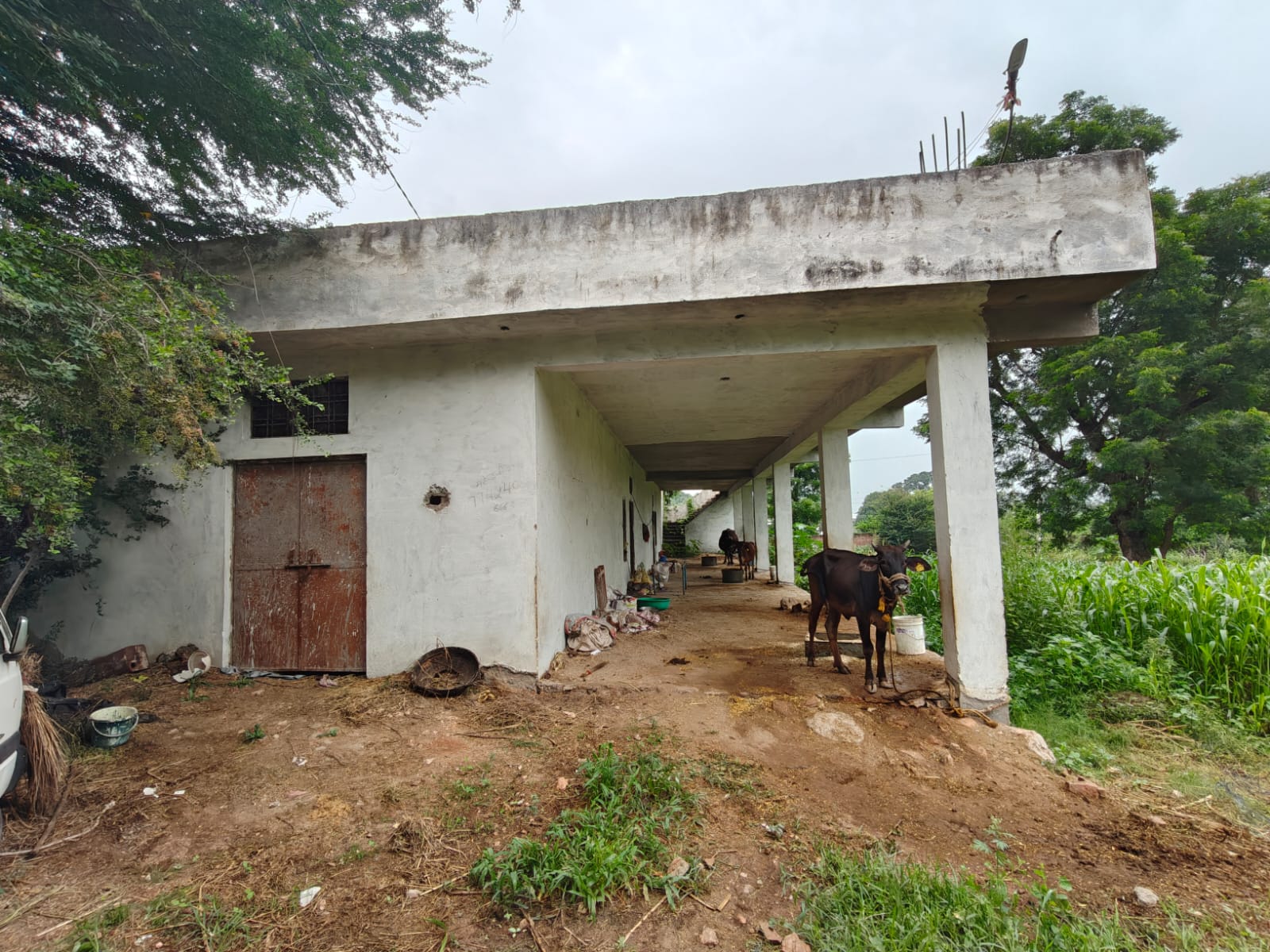 26910 square feet Individual House for sale in Bemla Bargaon Rural — photo 1