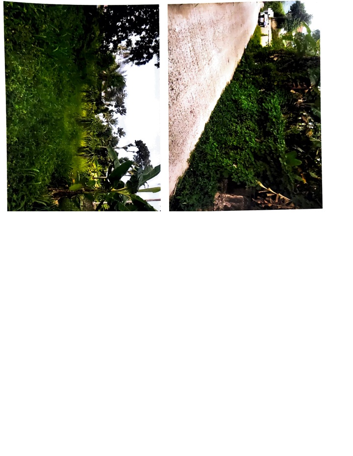 Plot for sale in Chirayinkeezhu Attingal — photo 1