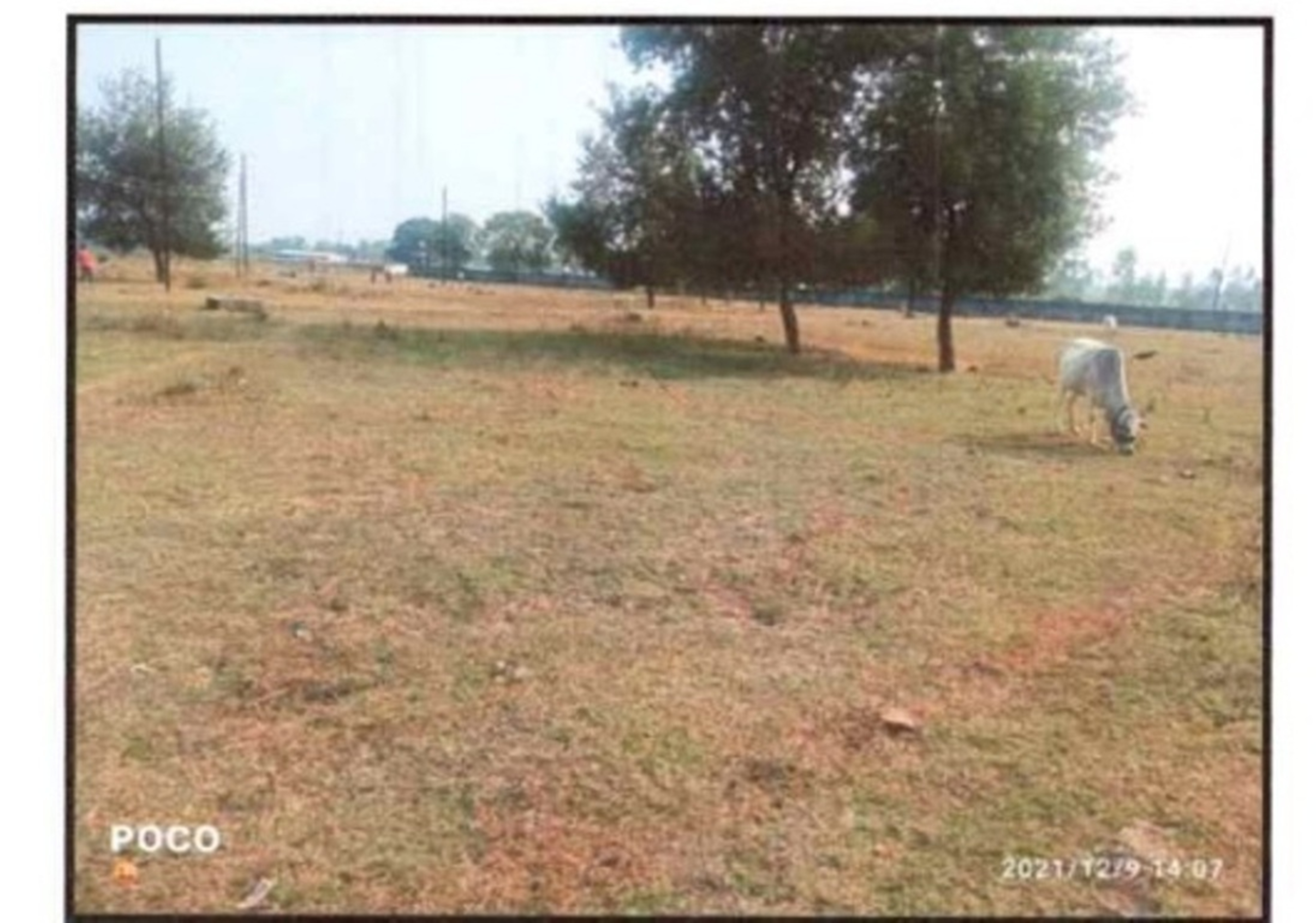 Villa for sale in Raisen — photo 1