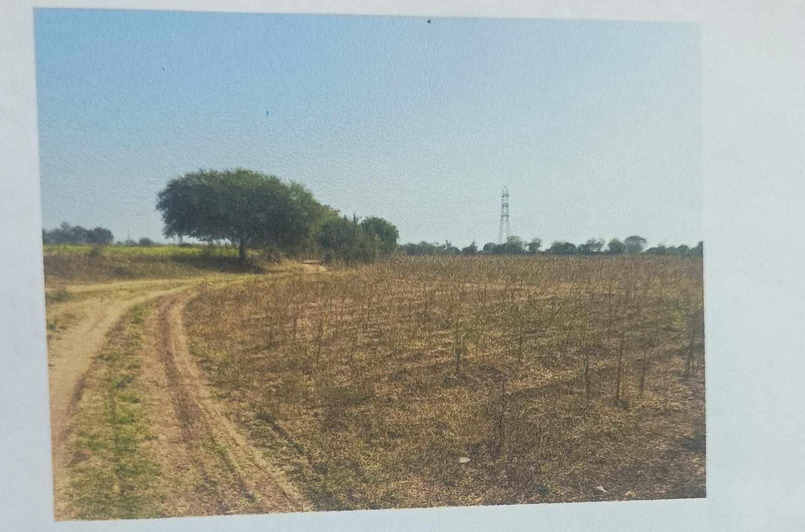 Plot for sale in Burahanpur Burhanpur — photo 1
