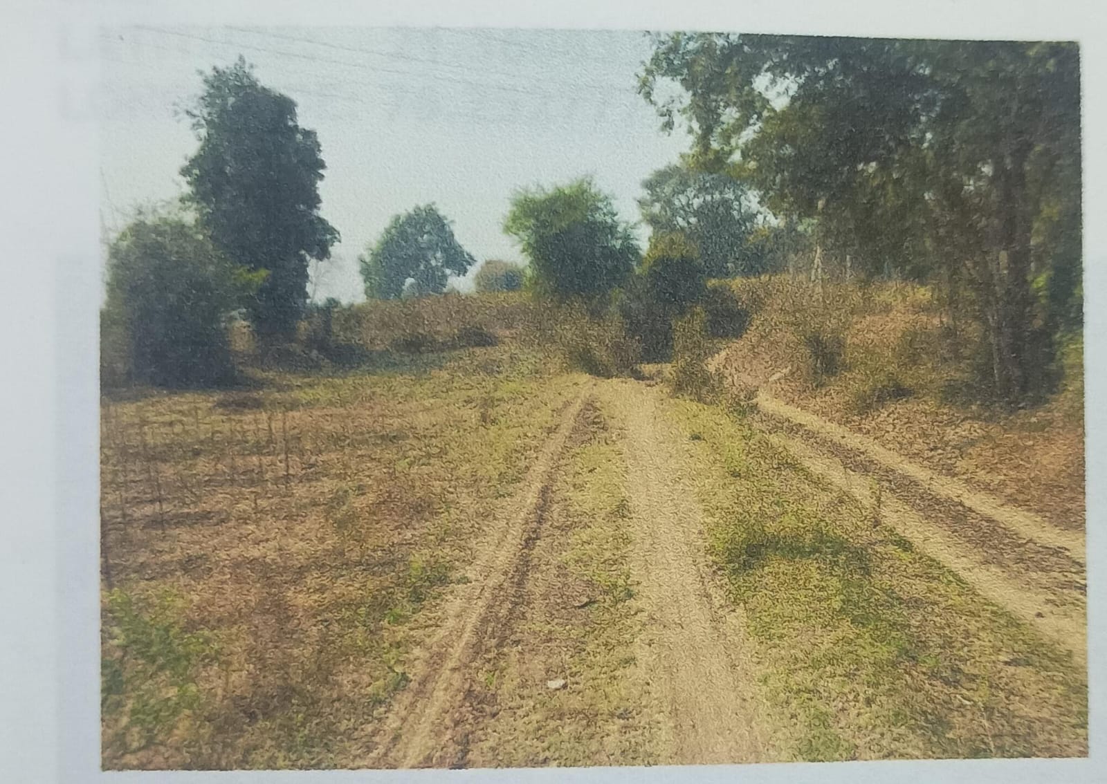 Plot for sale in Burahanpur Burhanpur — photo 2