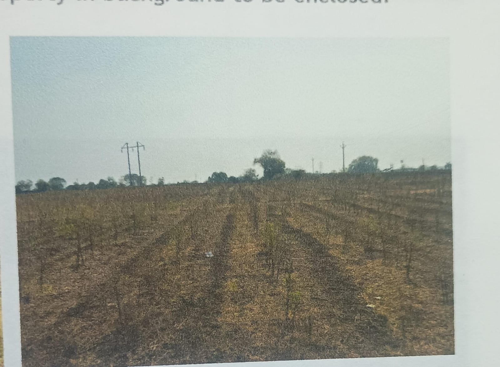 Plot for sale in Burahanpur Burhanpur — photo 3
