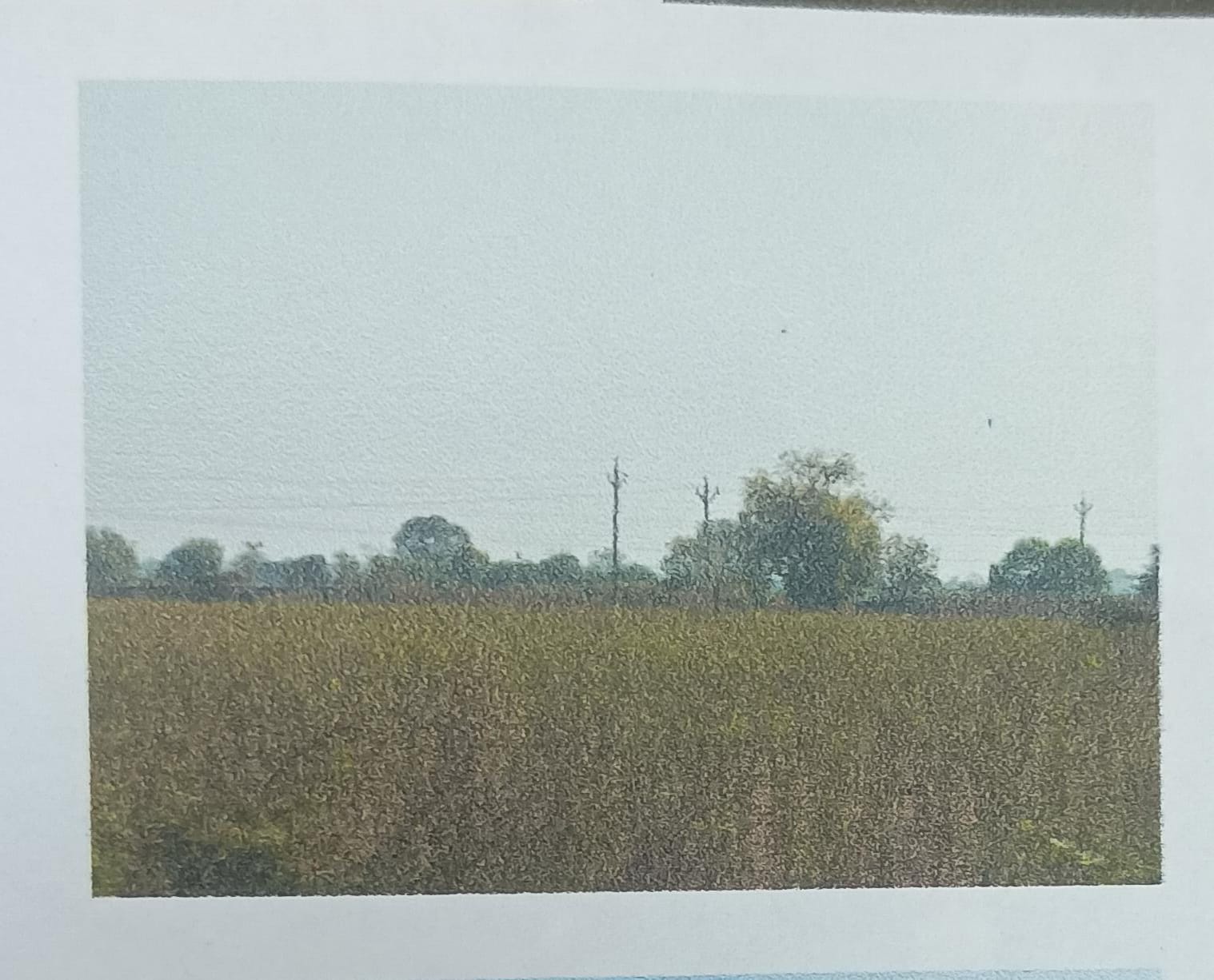 Plot for sale in Burhanpur Burhanpur — photo 1