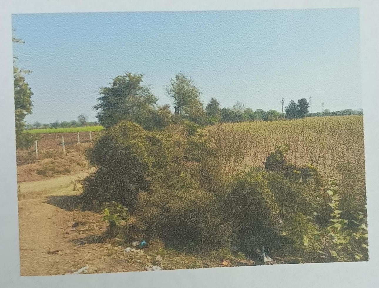 Plot for sale in Burhanpur Burhanpur — photo 2