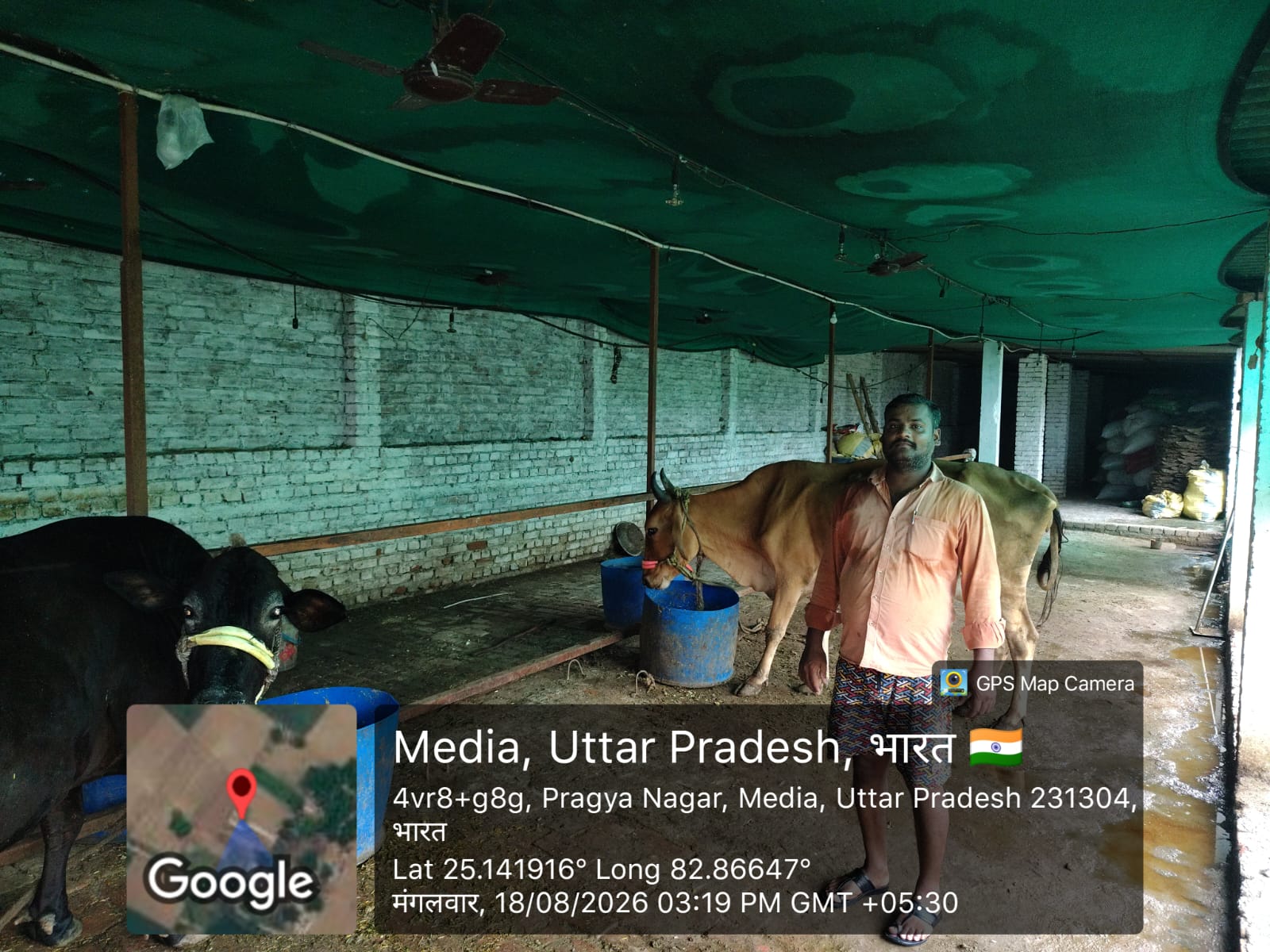 residential with dairy shed for sale in Chunar — photo 3