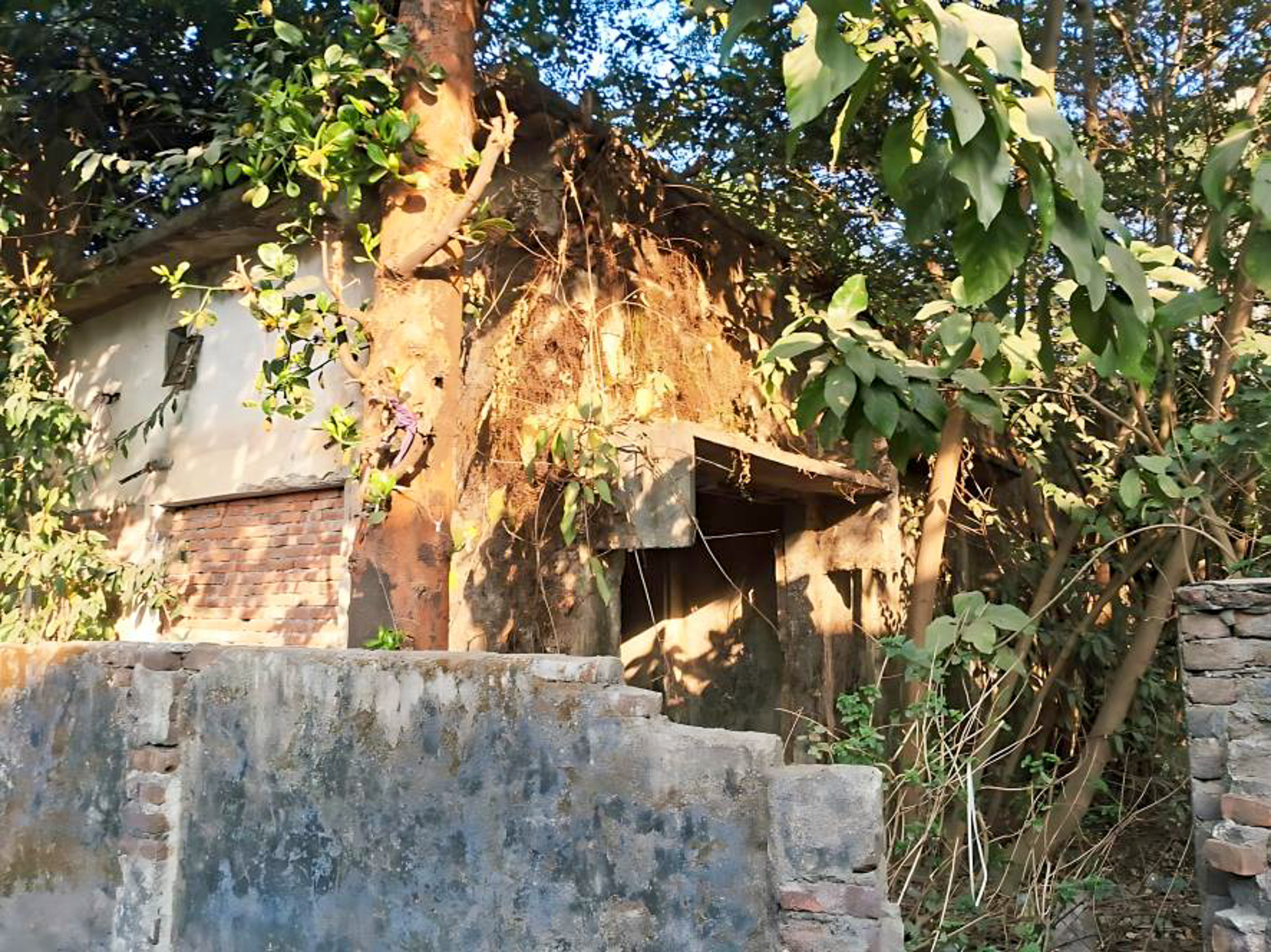 Godowns for sale in Sevak road debgram siliguri Siliguri — photo 4