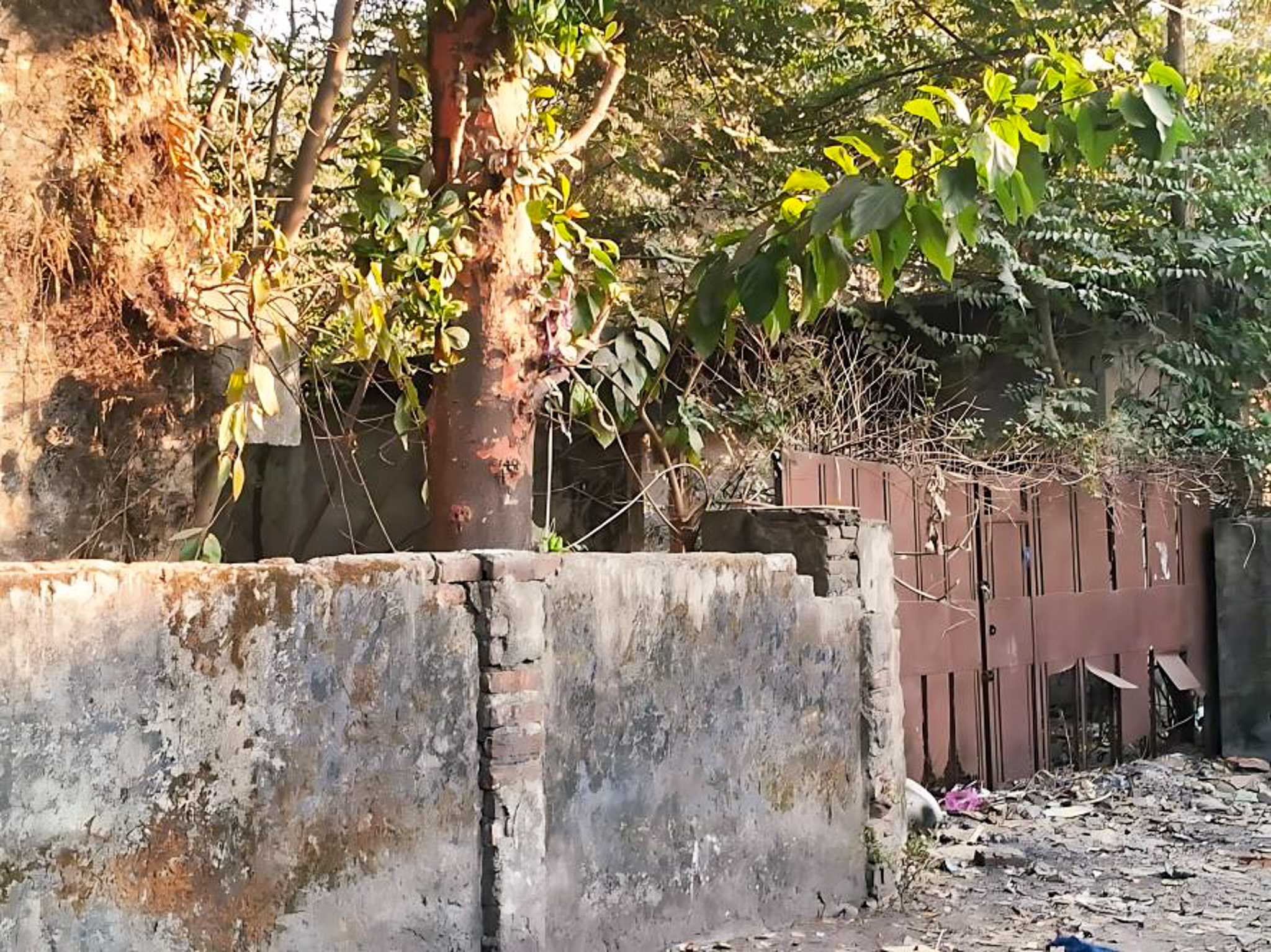 Godowns for sale in Sevak road debgram siliguri Siliguri — photo 6