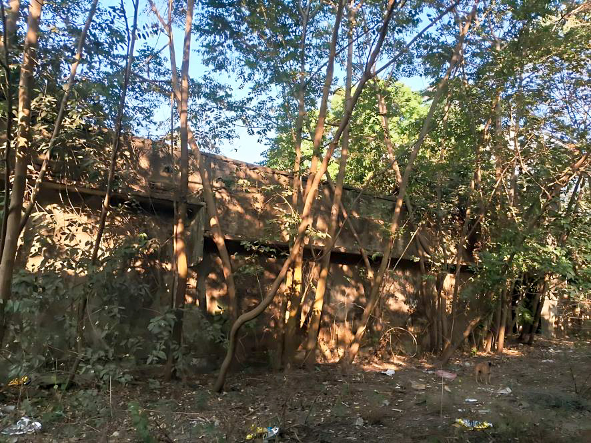 Godowns for sale in Sevak road debgram siliguri Siliguri — photo 10