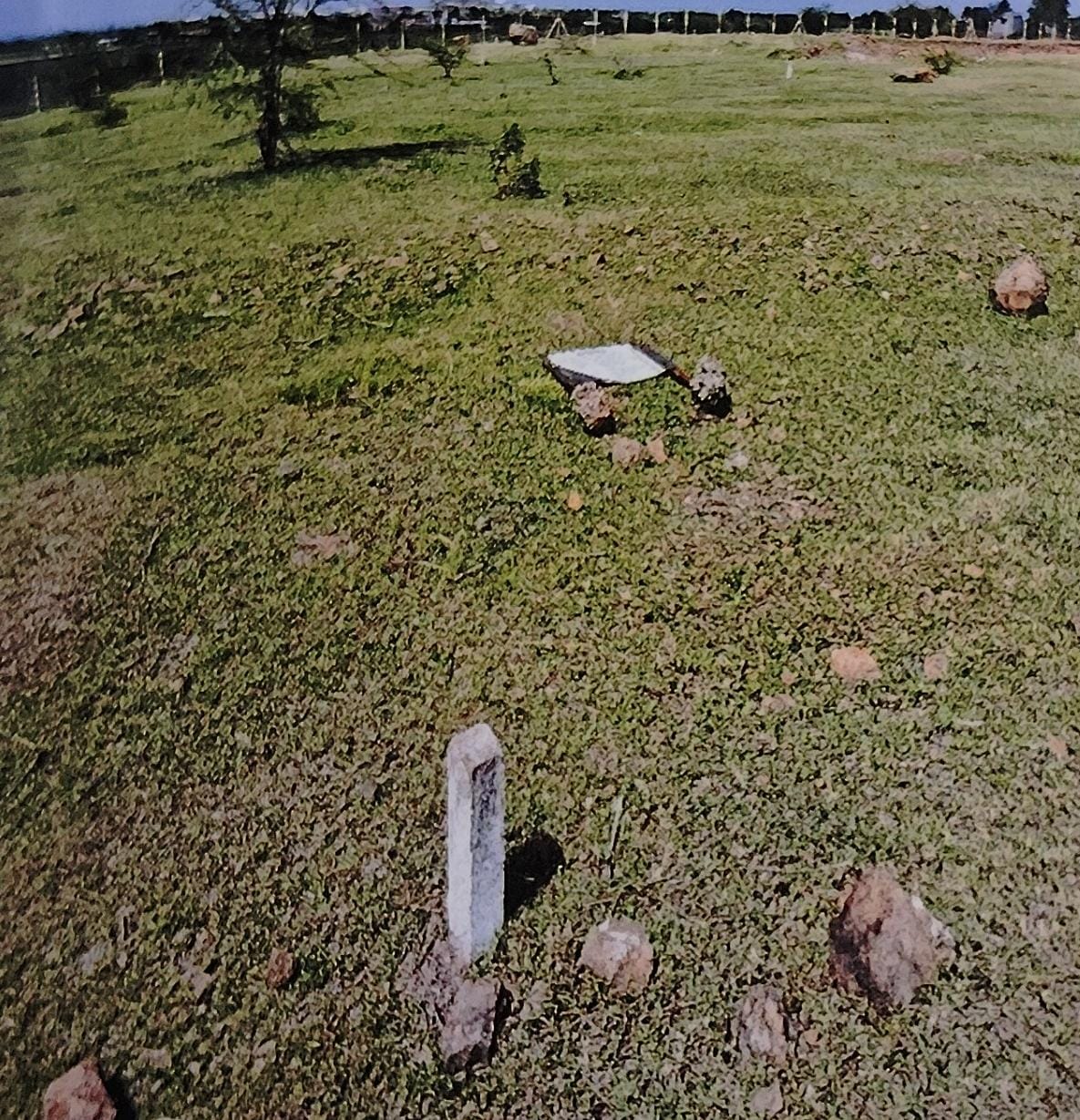 Plot for sale in Kolki — photo 1