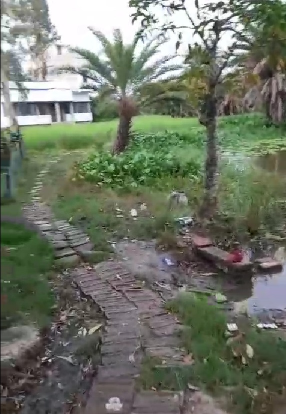 1336 square feet Individual House for sale in Jaynagar Mazilpur — photo 4