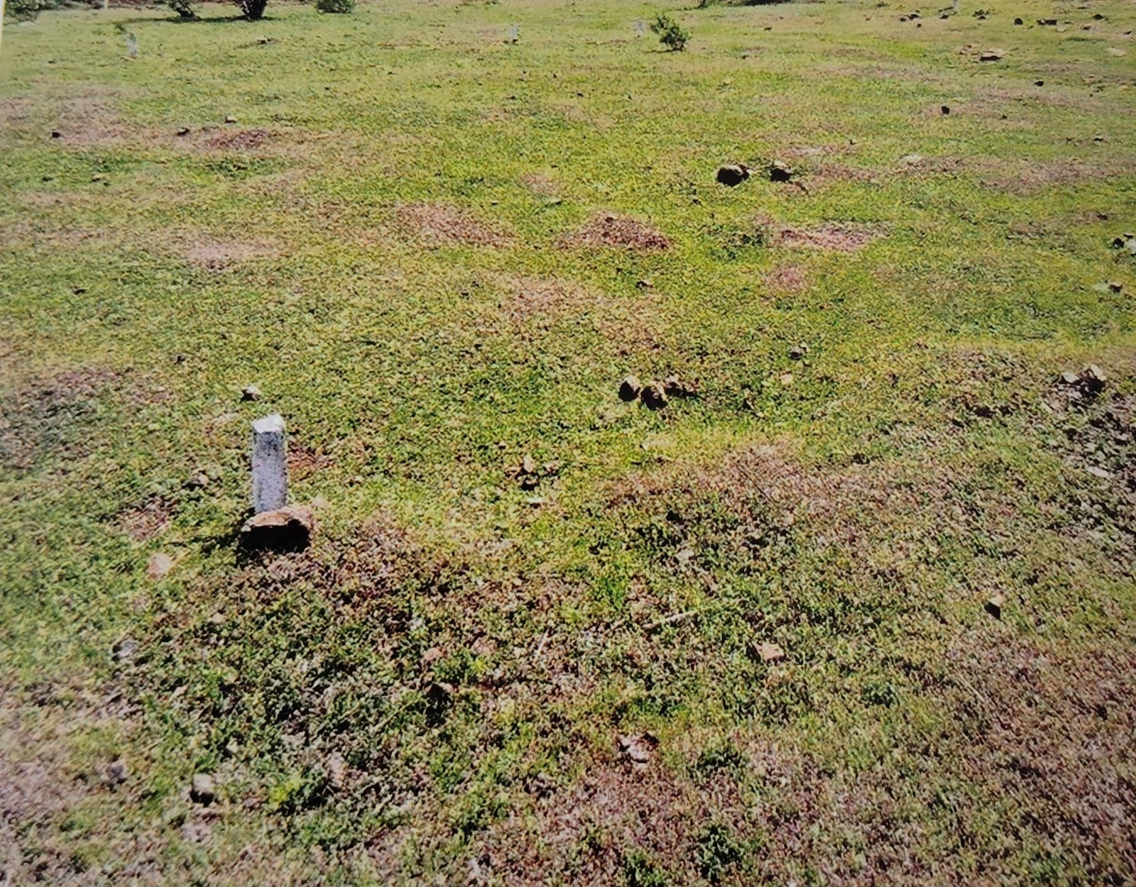 Plot for sale in Kolki — photo 3
