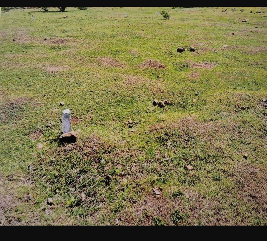 Industrial Plot for sale in Kolki — photo 1