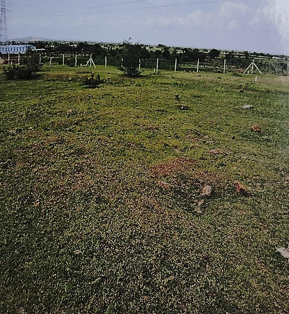 Plot for sale in Kolki — photo 1